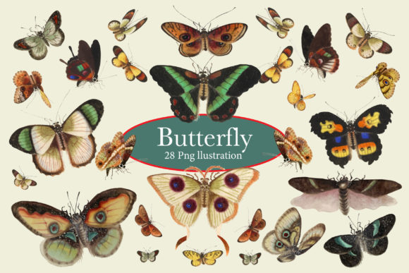Butterfly and Moth Watercolor: Elevating Your Creative Projects with Digital Art