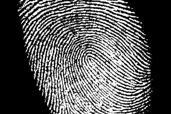 Real Fingerprints: Authentic Digital Imprints for Personalized Craft Projects